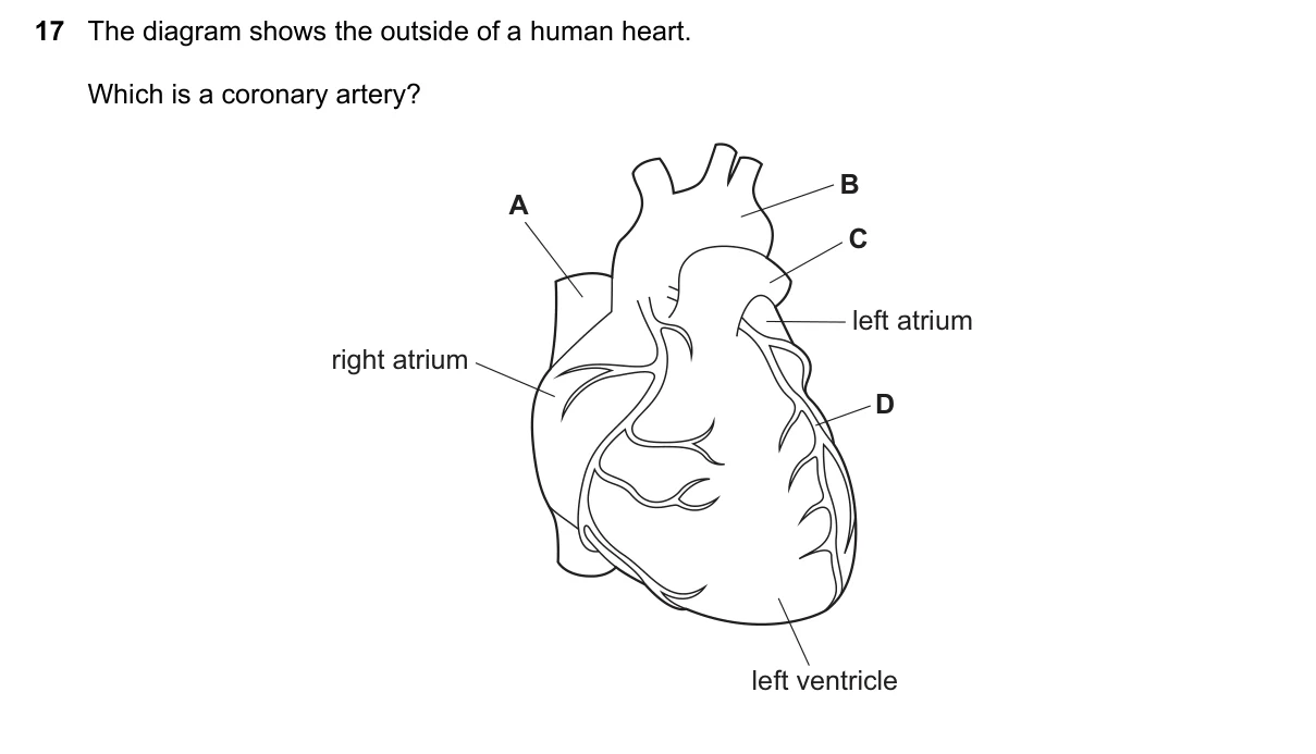 Question 17, June 2017, 0610 Paper 13
