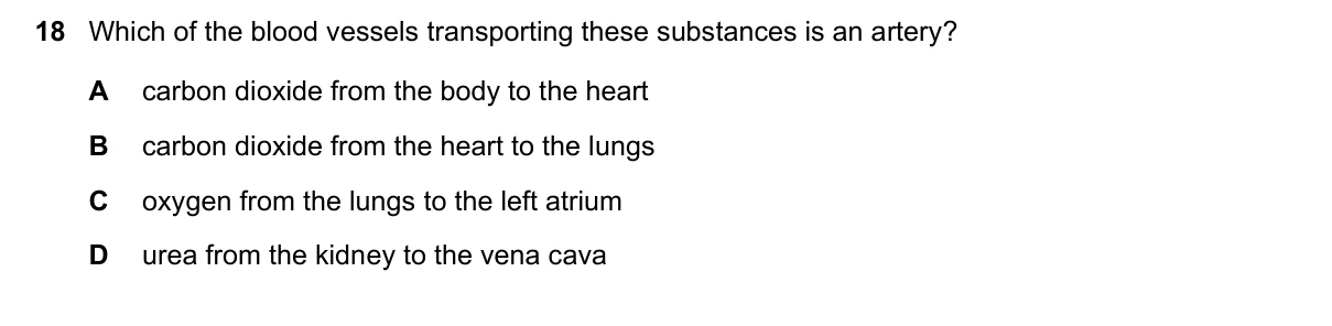 Question 18, June 2017, 0610 Paper 13