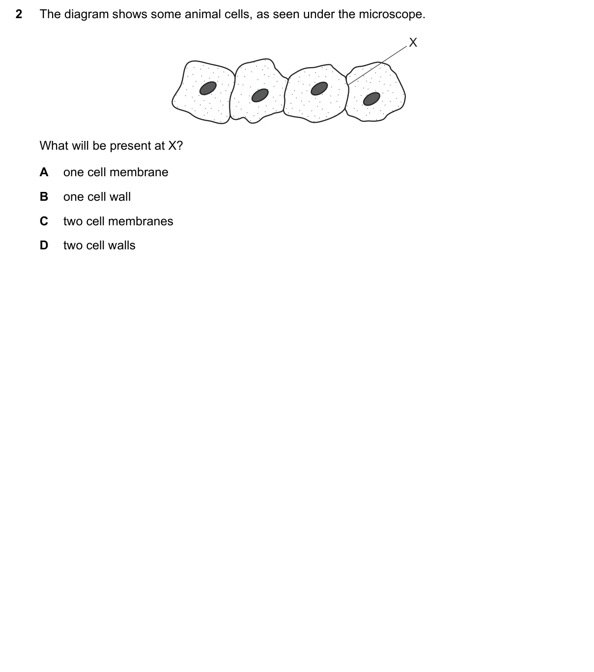 Question 2, June 2017, 0610 Paper 13