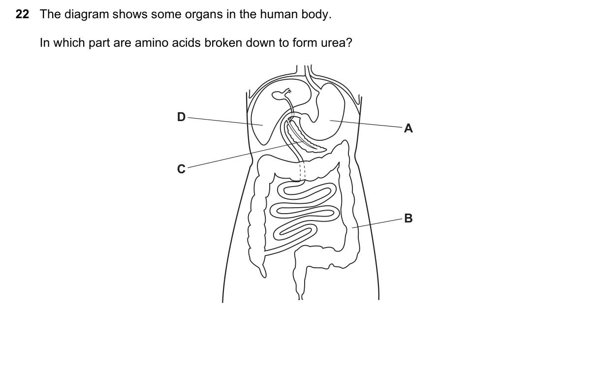 Question 22, June 2017, 0610 Paper 13