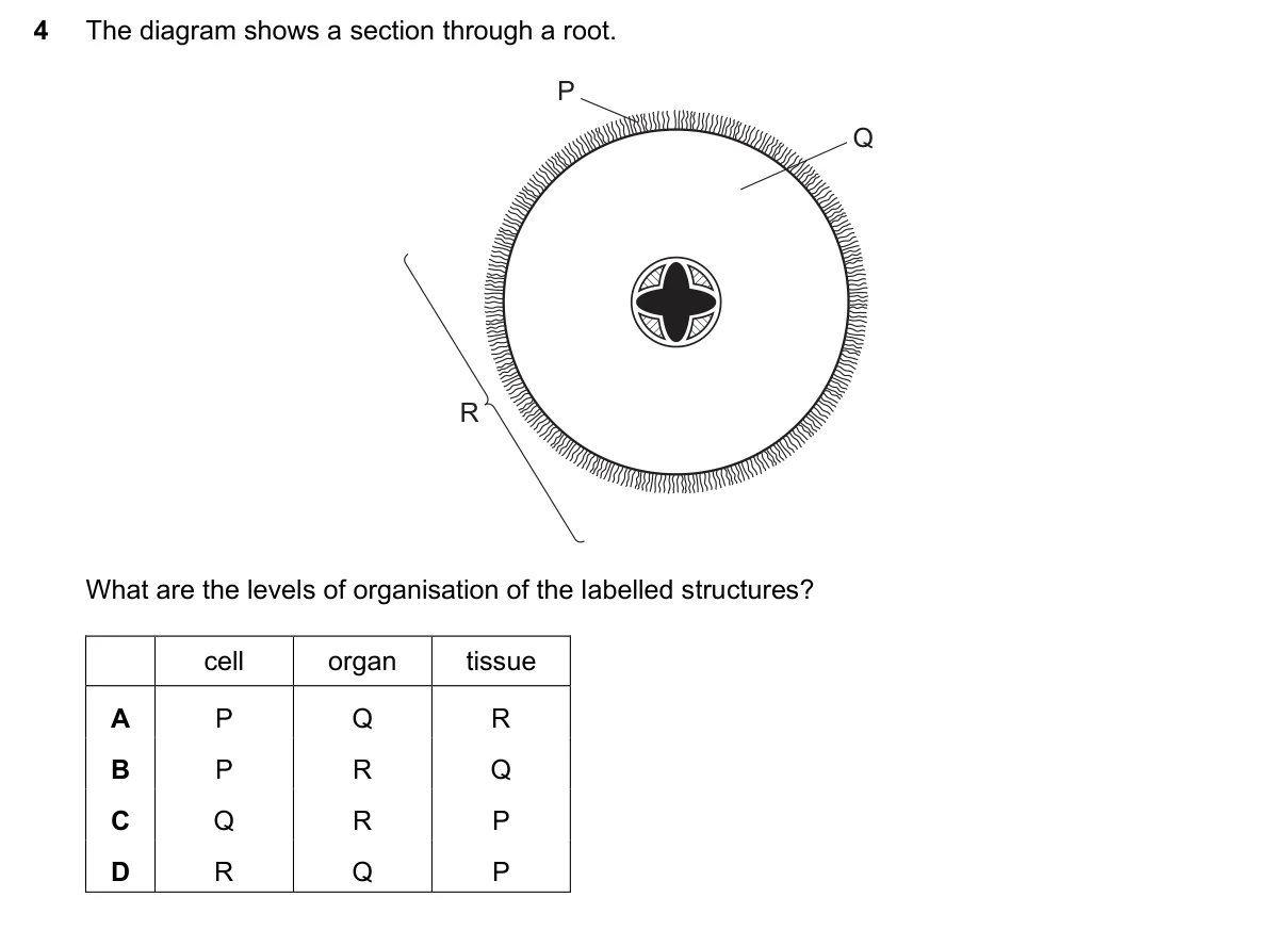 Question 4, June 2017, 0610 Paper 13