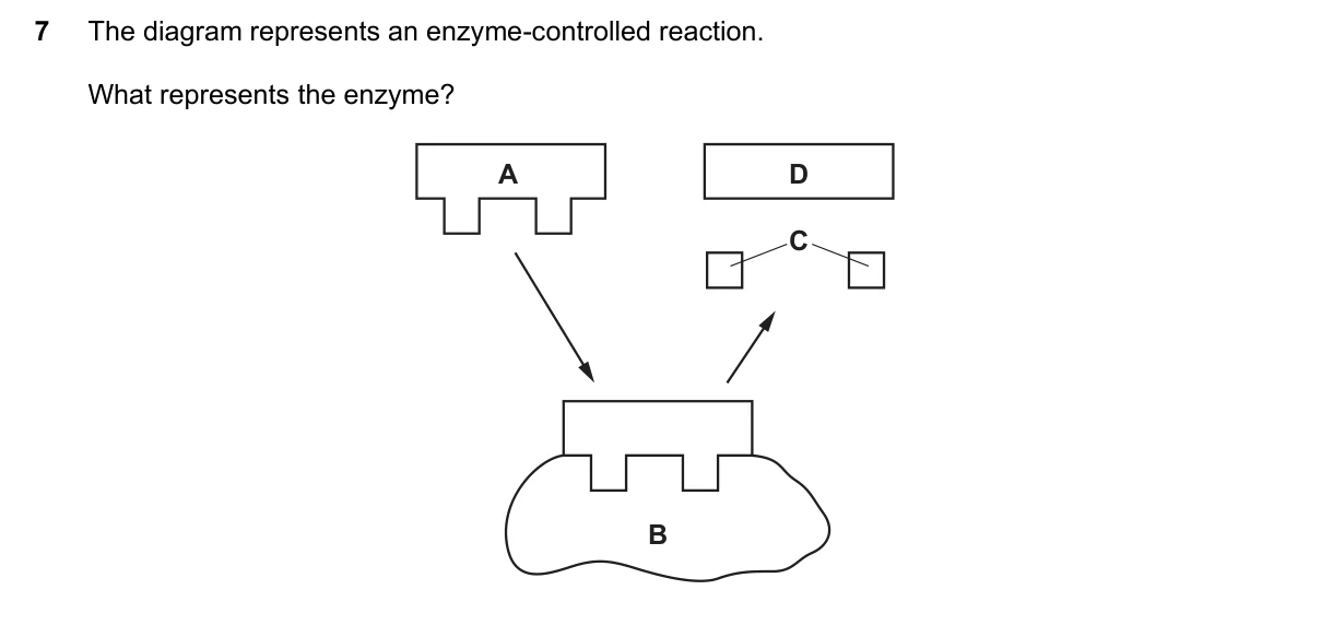 Question 7, June 2017, 0610 Paper 13