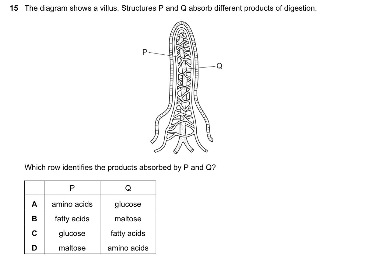 Question 15, June 2017, 0610 Paper 23
