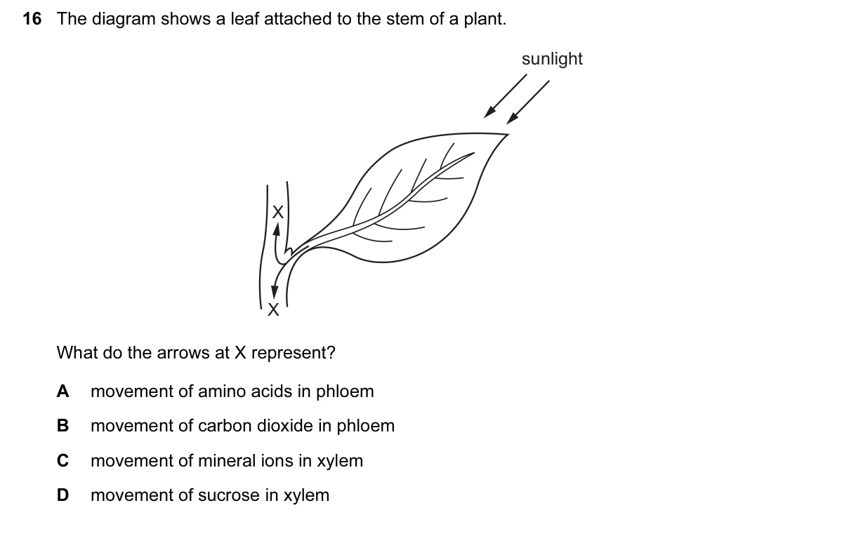 Question 16, June 2017, 0610 Paper 23