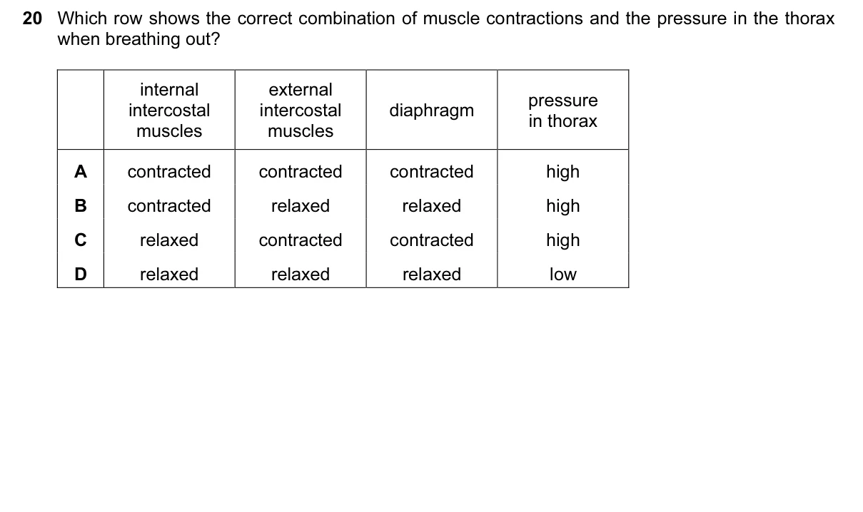 Question 20, June 2017, 0610 Paper 23