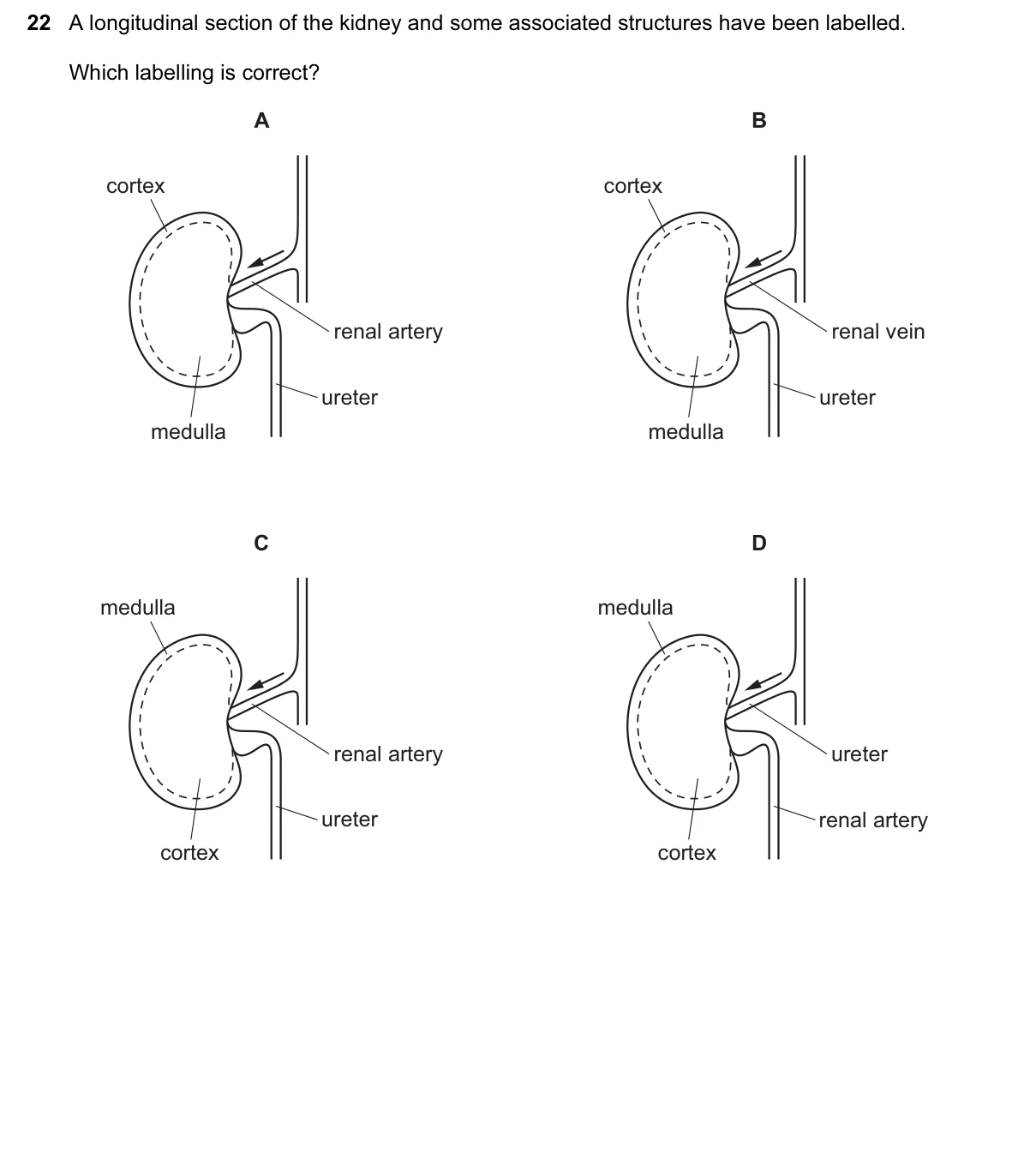 Question 22, June 2017, 0610 Paper 23