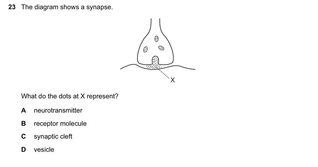 Question 23, June 2017, 0610 Paper 23