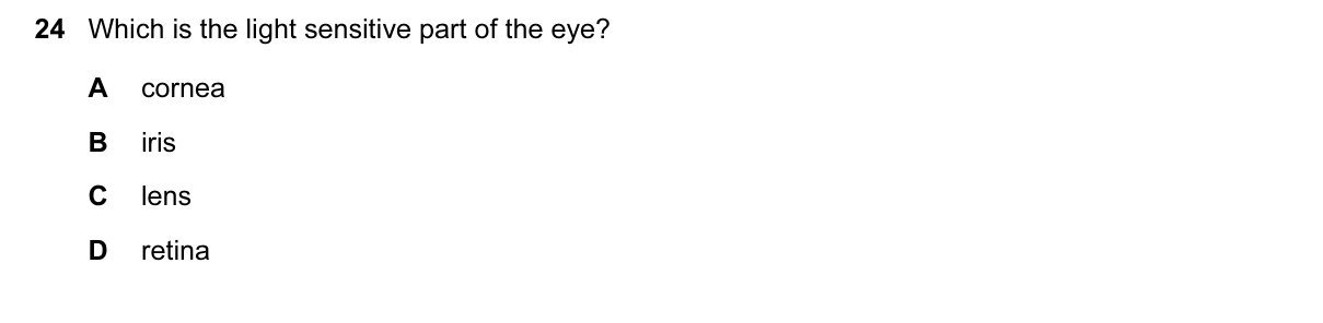Question 24, June 2017, 0610 Paper 23