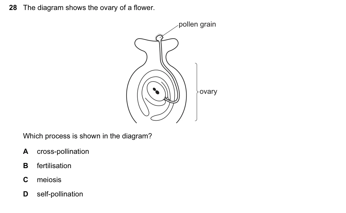 Question 28, June 2017, 0610 Paper 23