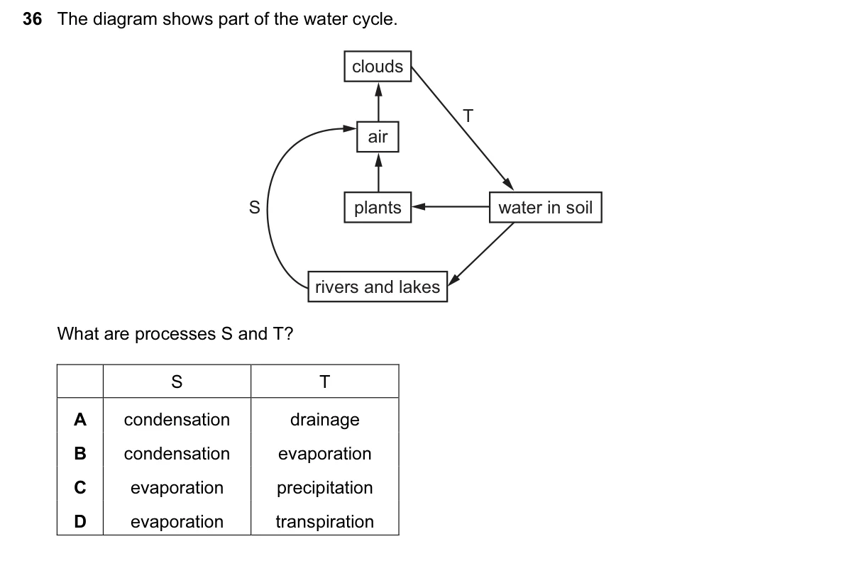 Question 36, June 2017, 0610 Paper 23