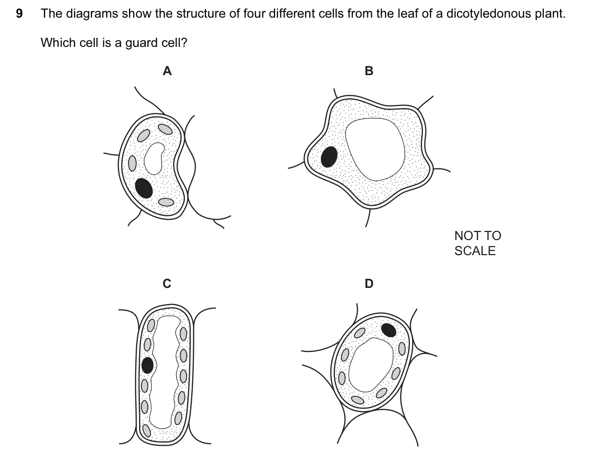 Question 9, June 2017, 0610 Paper 23