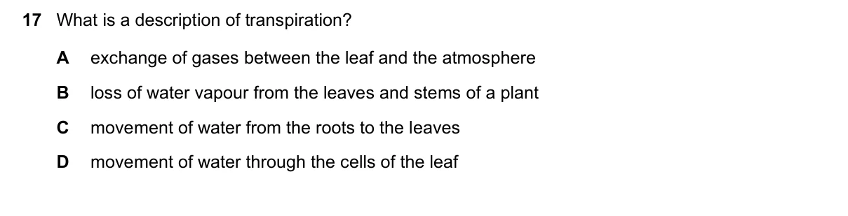 Question 17, November 2017, 0610 Paper 11