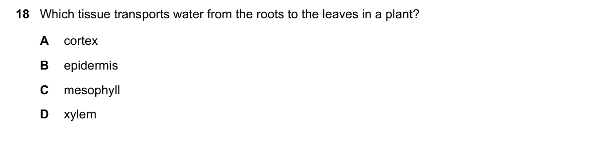 Question 18, November 2017, 0610 Paper 11