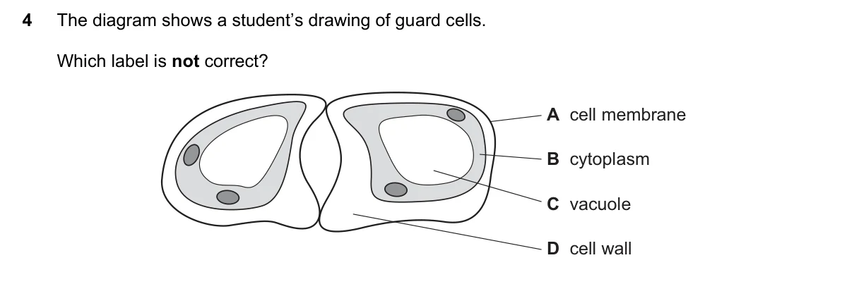 Question 4, November 2017, 0610 Paper 11