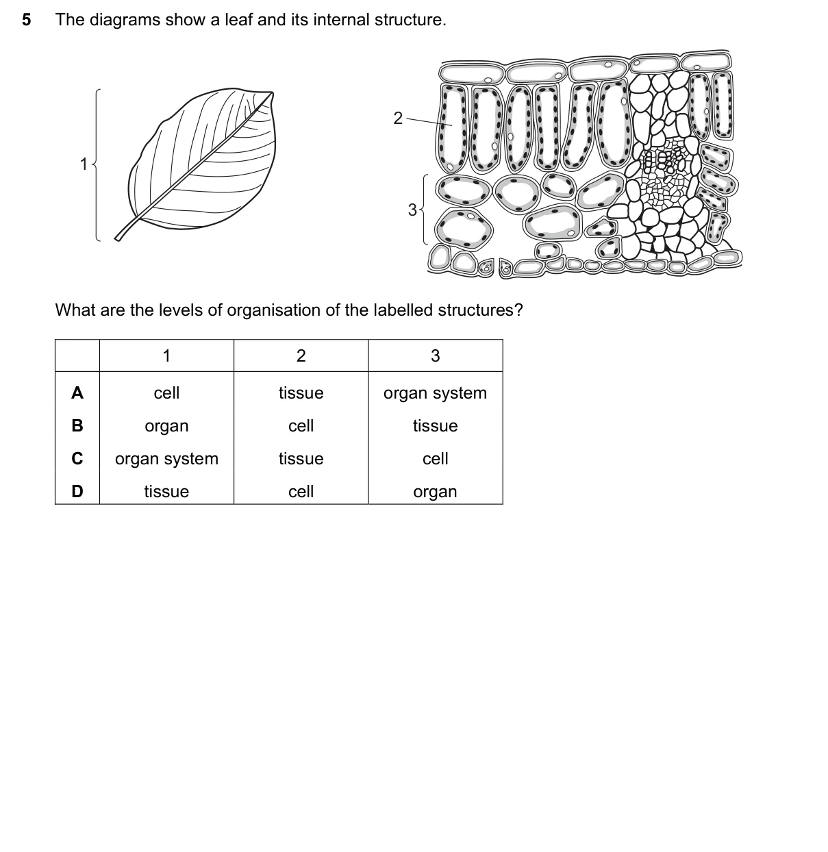 Question 5, November 2017, 0610 Paper 11