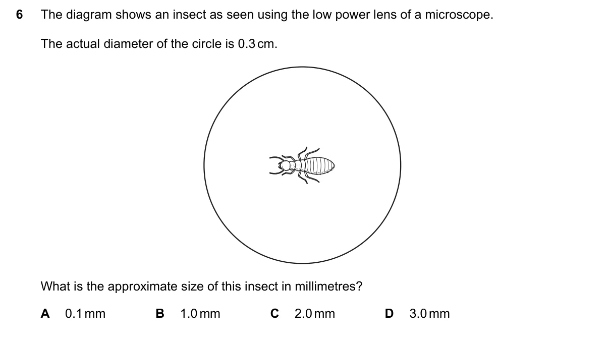 Question 6, November 2017, 0610 Paper 11