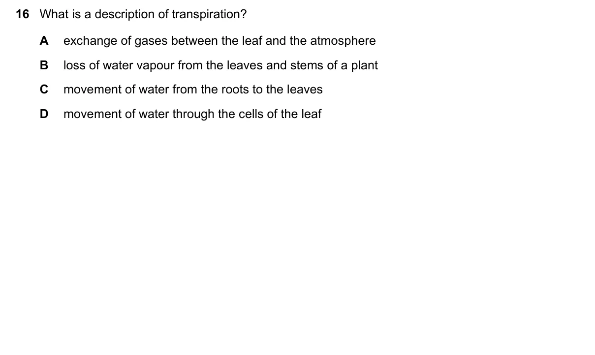 Question 16, November 2017, 0610 Paper 21