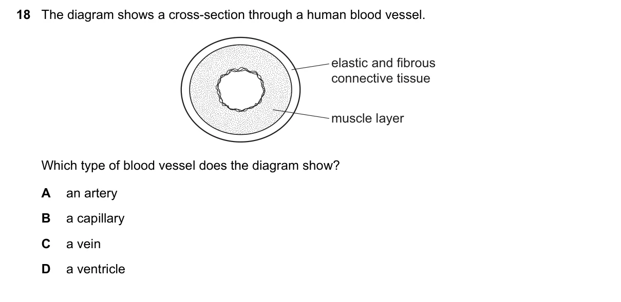 Question 18, November 2017, 0610 Paper 21