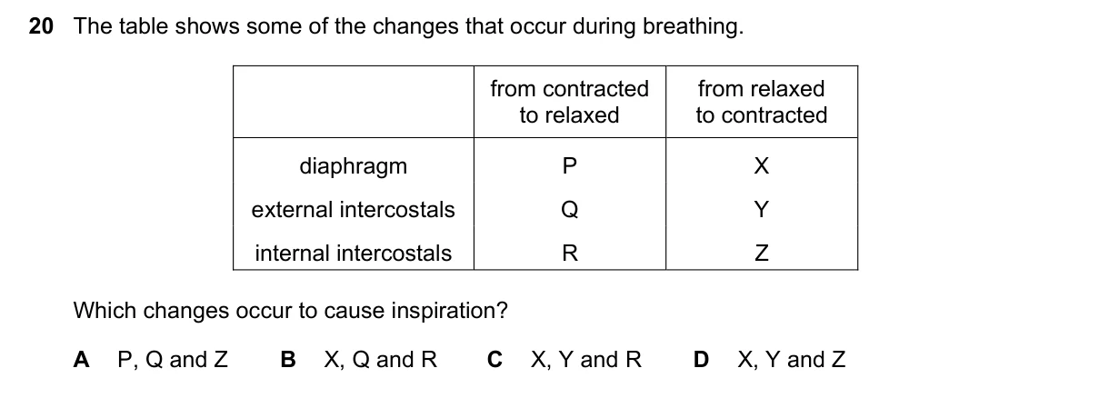 Question 20, November 2017, 0610 Paper 21
