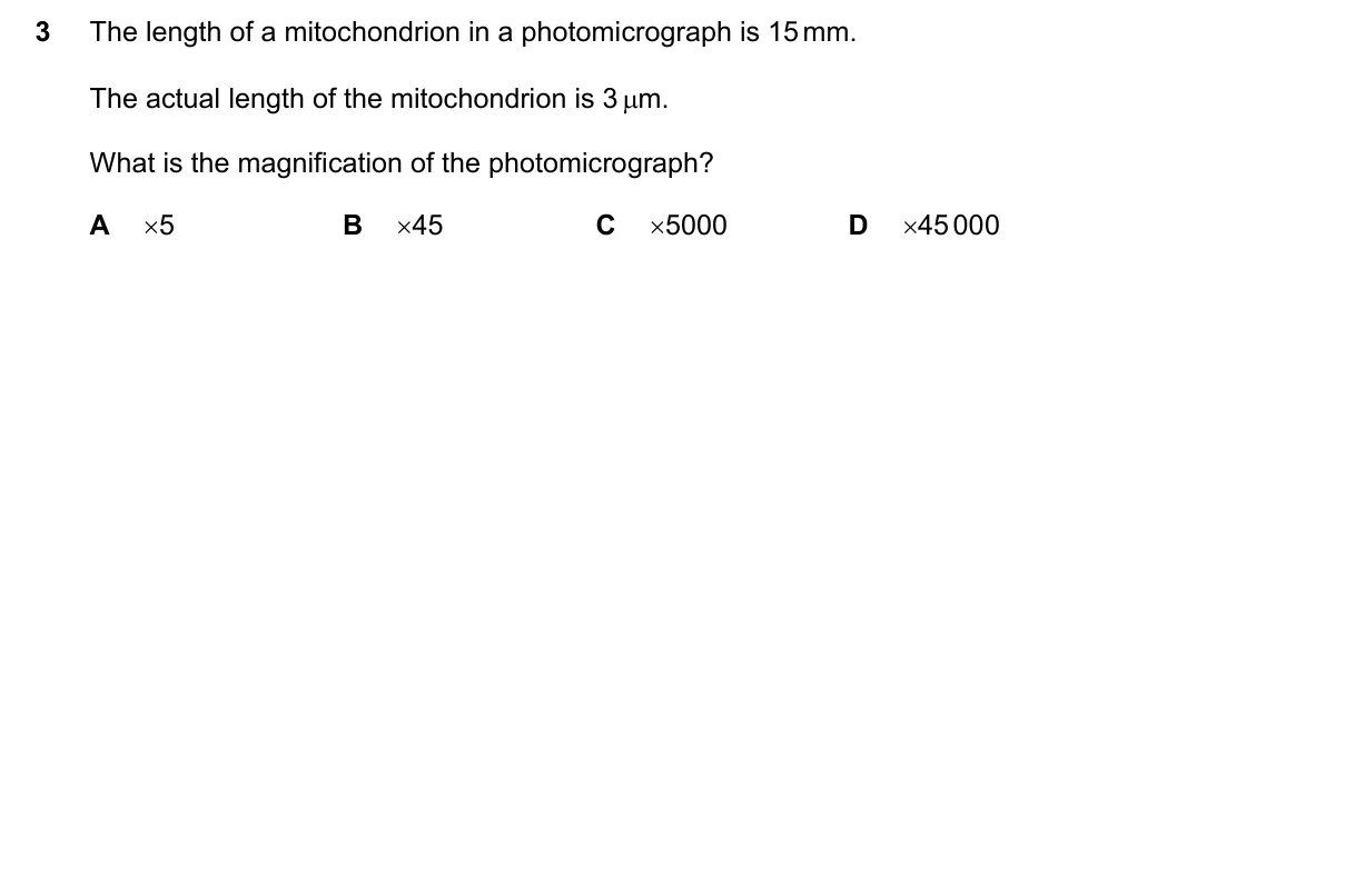 Question 3, November 2017, 0610 Paper 21