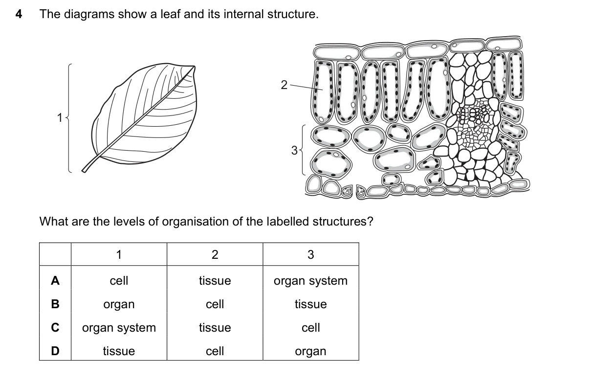 Question 4, November 2017, 0610 Paper 21