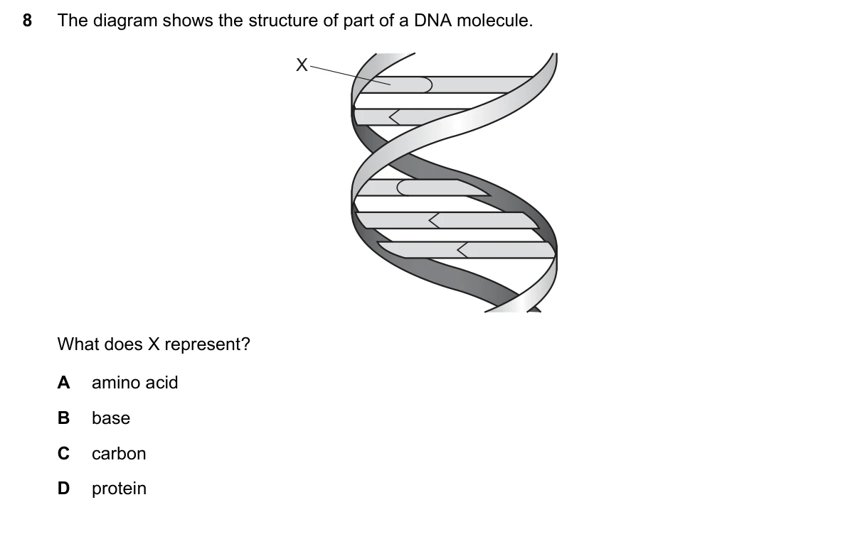 Question 8, November 2017, 0610 Paper 21