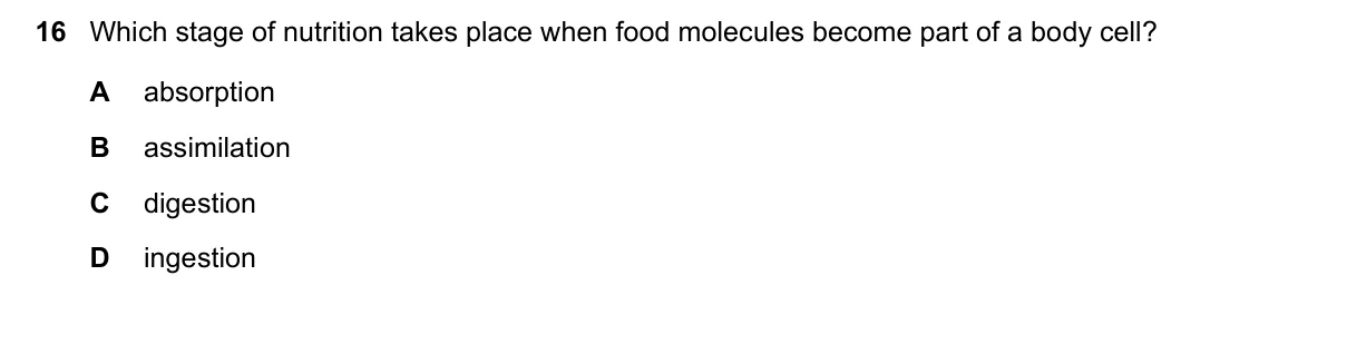 Question 16, November 2017, 0610 Paper 12