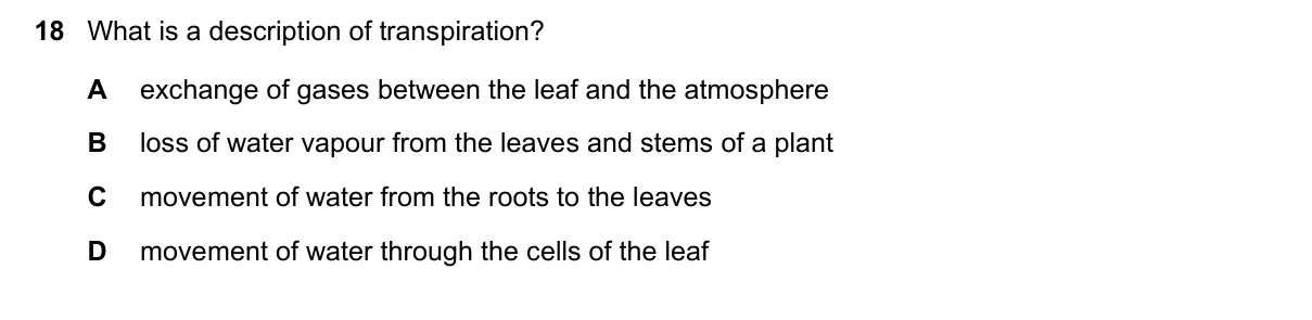 Question 18, November 2017, 0610 Paper 12