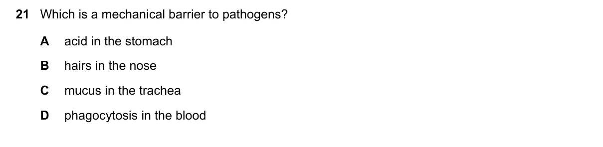 Question 21, November 2017, 0610 Paper 12