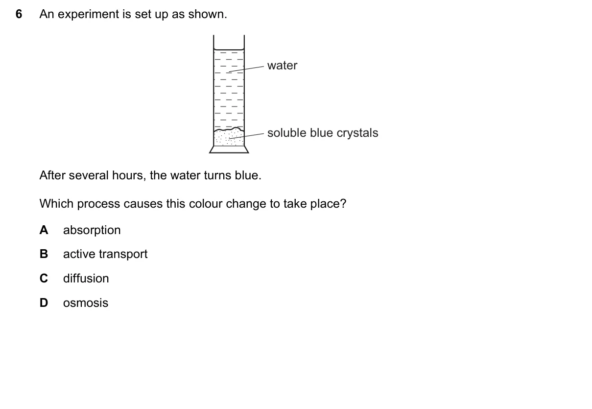 Question 6, November 2017, 0610 Paper 12