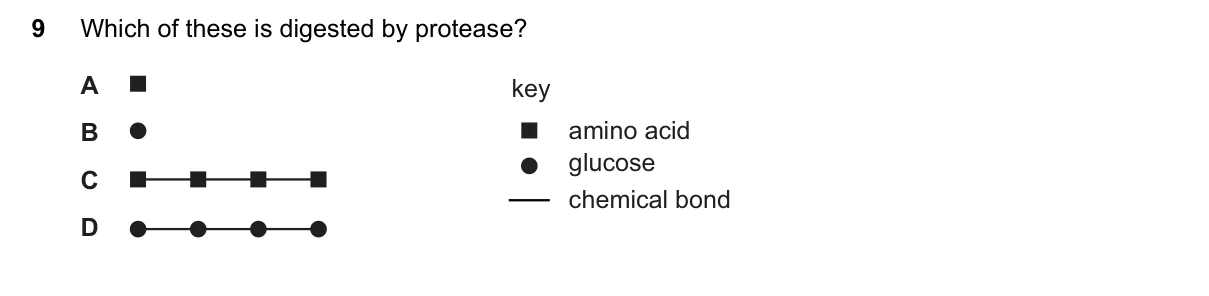 Question 9, November 2017, 0610 Paper 12