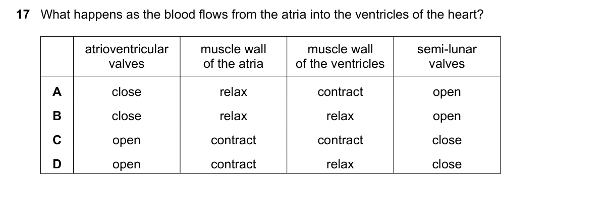 Question 17, November 2017, 0610 Paper 22