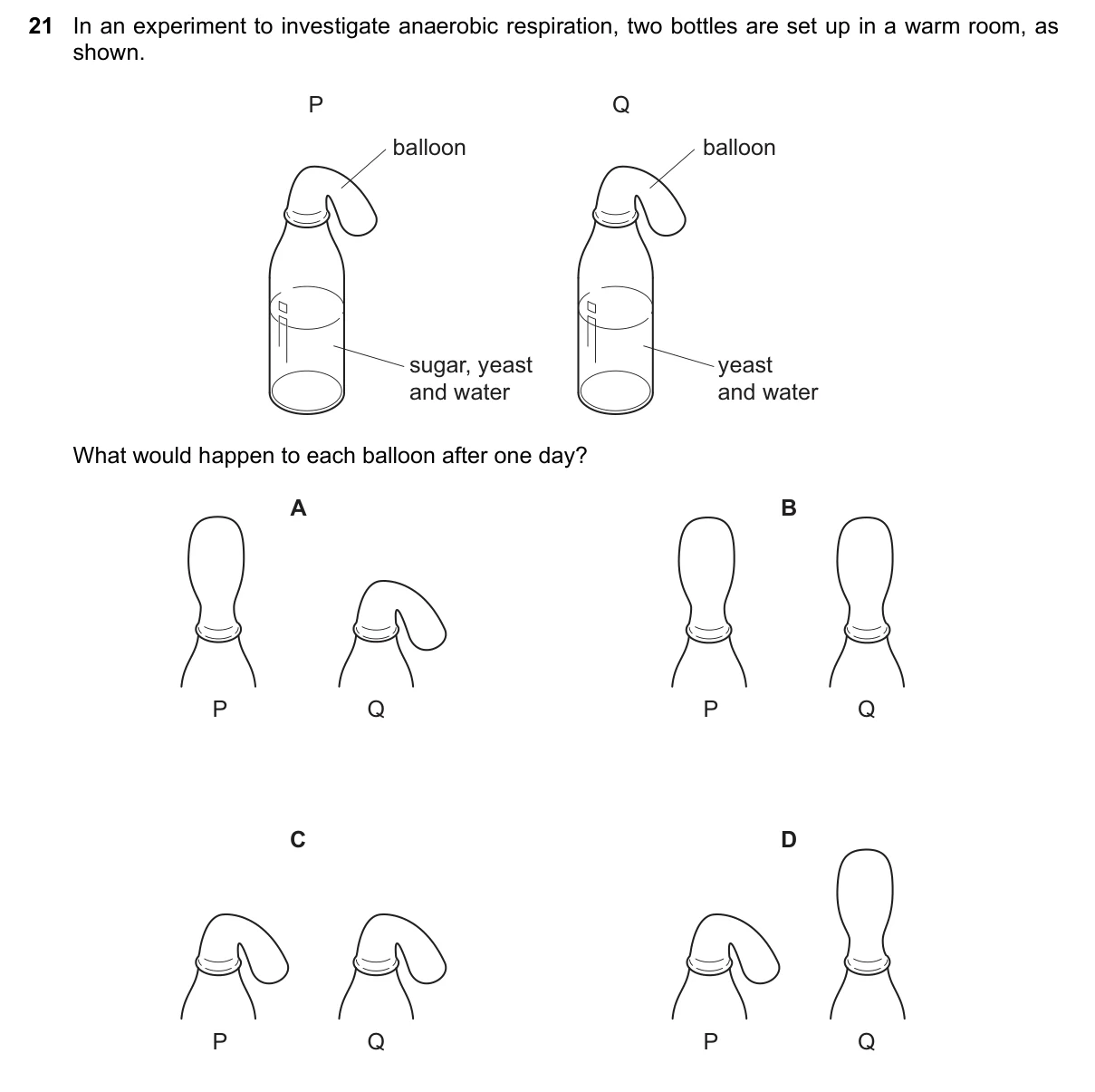 Question 21, November 2017, 0610 Paper 22