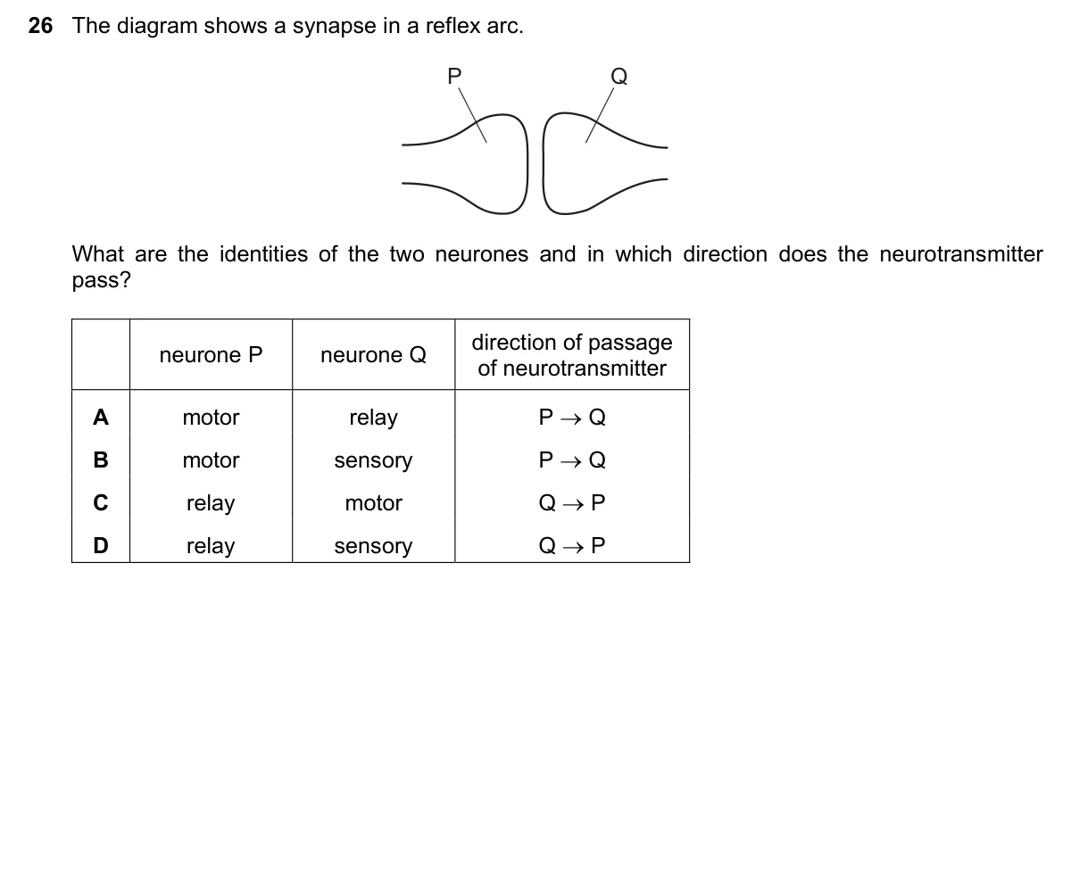 Question 26, November 2017, 0610 Paper 22