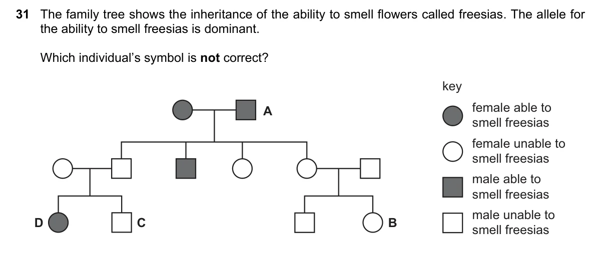 Question 31, November 2017, 0610 Paper 22