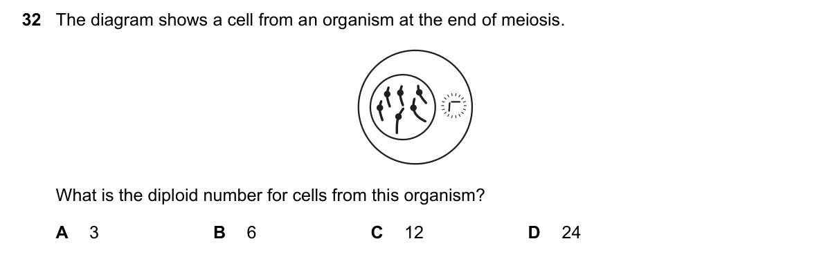 Question 32, November 2017, 0610 Paper 22