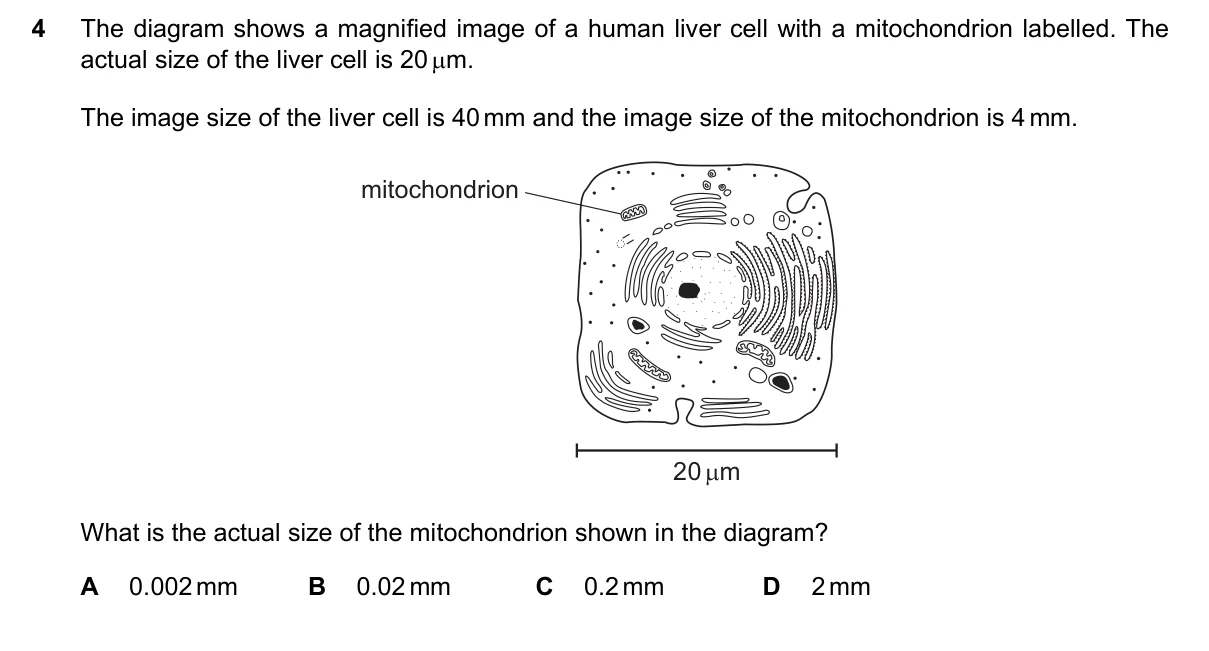 Question 4, November 2017, 0610 Paper 22