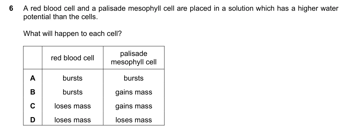 Question 6, November 2017, 0610 Paper 22