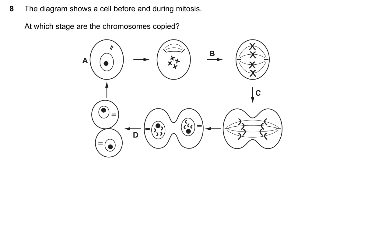 Question 8, November 2017, 0610 Paper 22