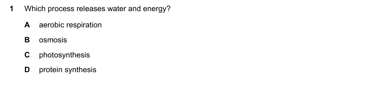 Question 1, November 2017, 0610 Paper 13