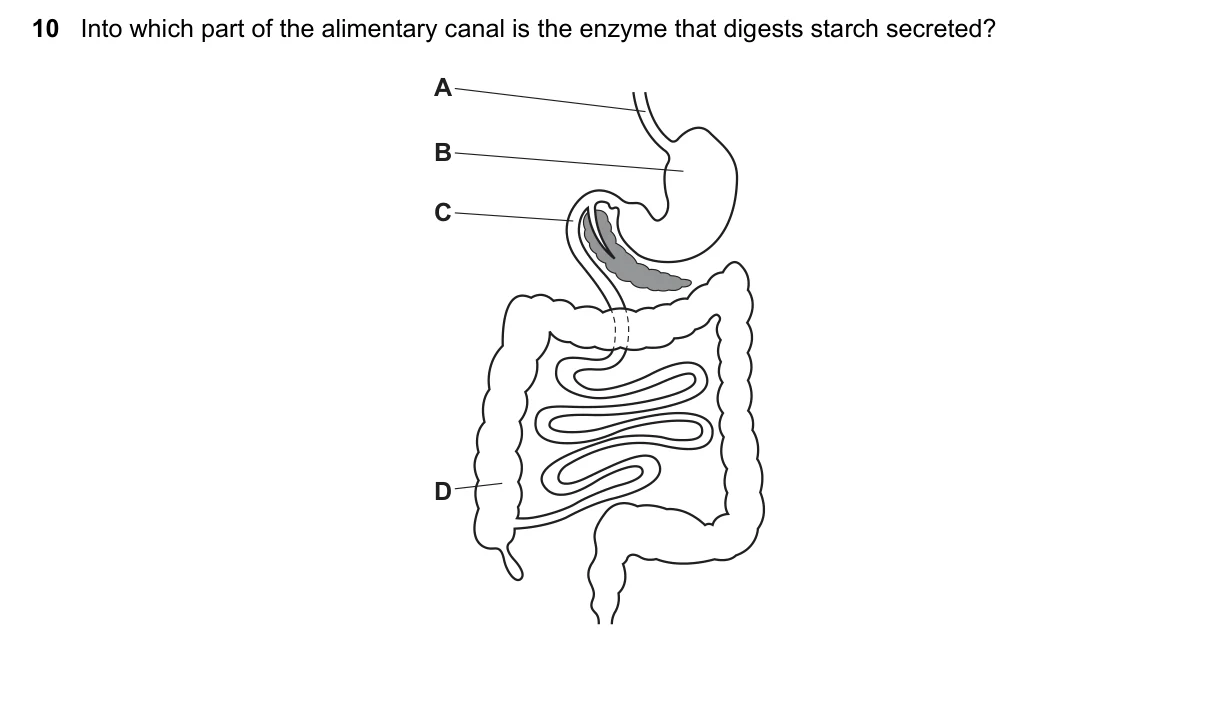 Question 10, November 2017, 0610 Paper 13