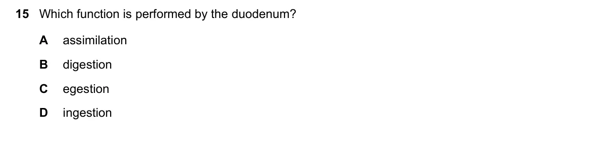 Question 15, November 2017, 0610 Paper 13