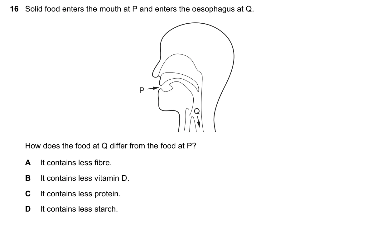 Question 16, November 2017, 0610 Paper 13