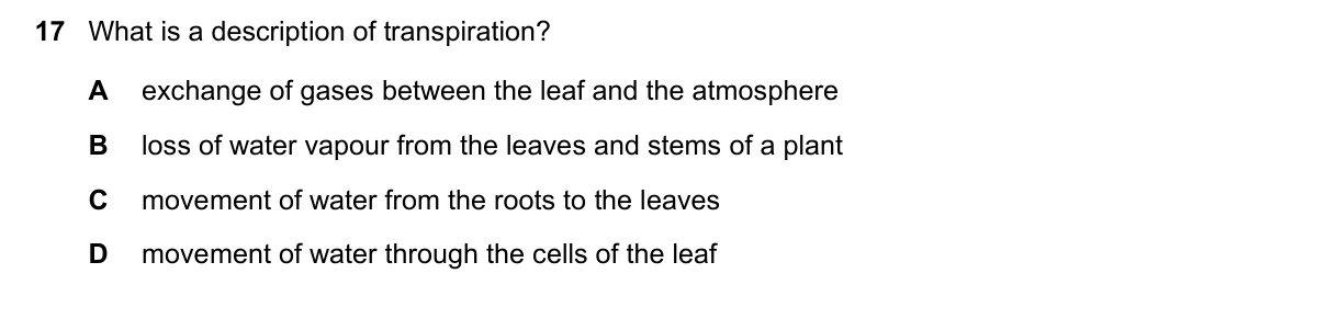 Question 17, November 2017, 0610 Paper 13