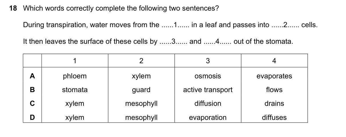 Question 18, November 2017, 0610 Paper 13