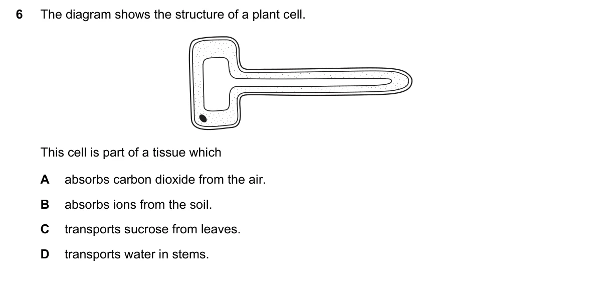 Question 6, November 2017, 0610 Paper 13
