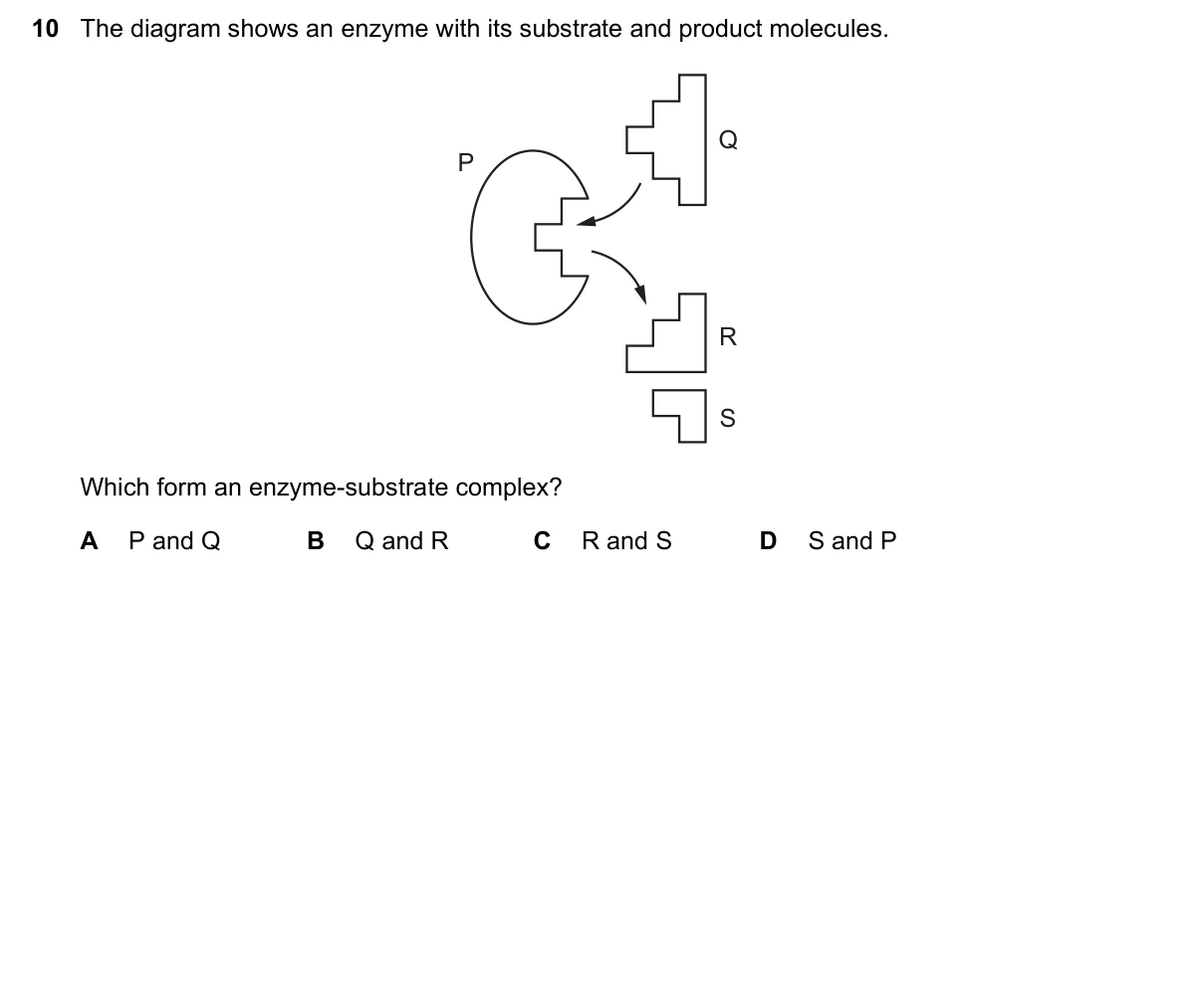 Question 10, November 2017, 0610 Paper 23