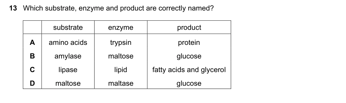 Question 13, November 2017, 0610 Paper 23