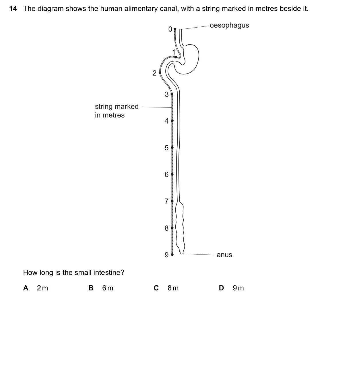 Question 14, November 2017, 0610 Paper 23