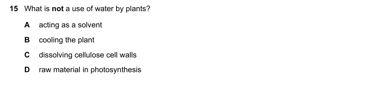 Question 15, November 2017, 0610 Paper 23